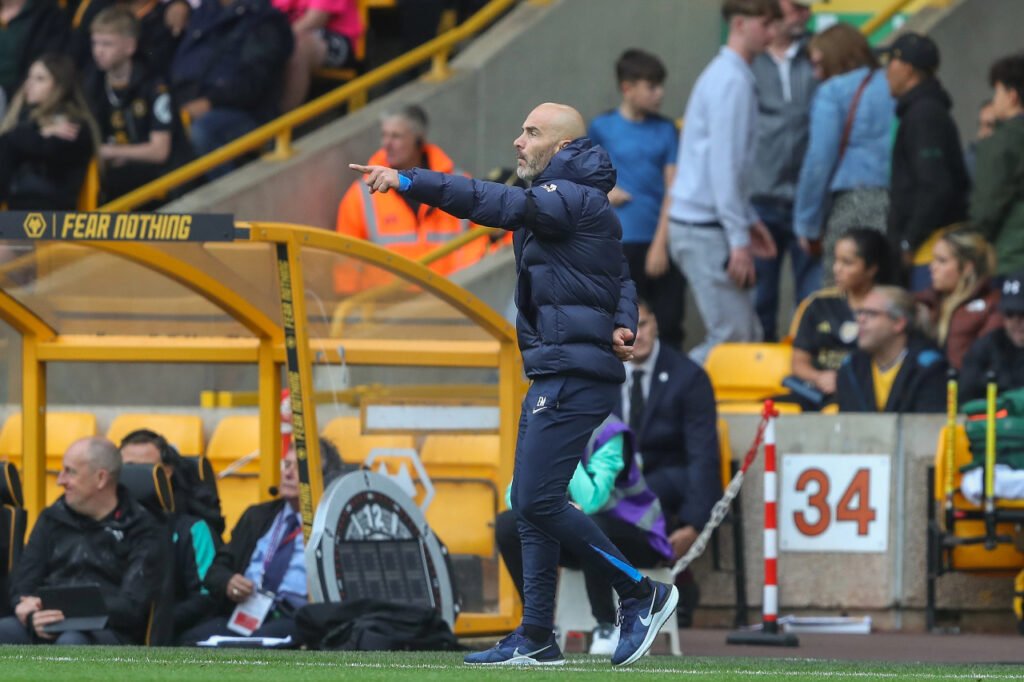 Enzo Maresca manager Chelsea